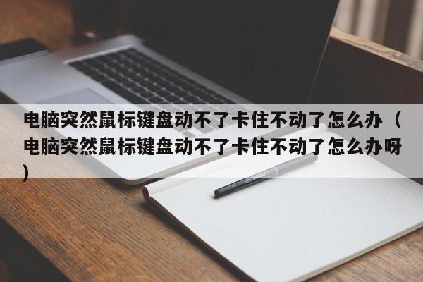 电脑突然鼠标键盘动不了卡住不动了怎么办（电脑突然鼠标键盘动不了卡住不动了怎么办呀）