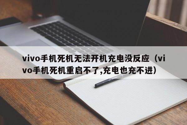 vivo手机死机无法开机充电没反应（vivo手机死机重启不了,充电也充不进）