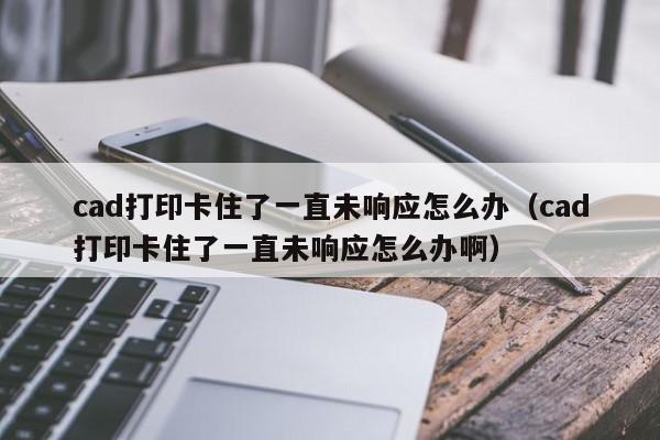 cad打印卡住了一直未响应怎么办（cad打印卡住了一直未响应怎么办啊）