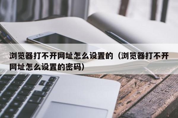 浏览器打不开网址怎么设置的（浏览器打不开网址怎么设置的密码）