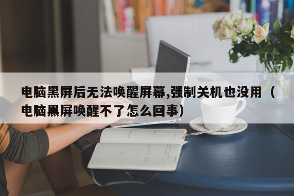 电脑黑屏后无法唤醒屏幕,强制关机也没用（电脑黑屏唤醒不了怎么回事）