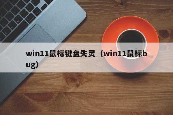 win11鼠标键盘失灵（win11鼠标bug）