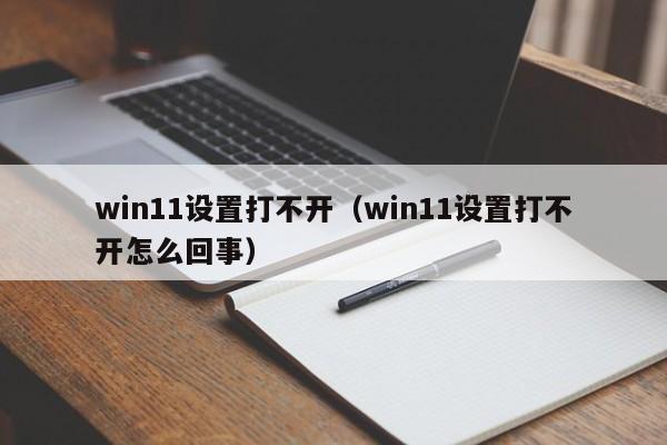 win11设置打不开（win11设置打不开怎么回事）